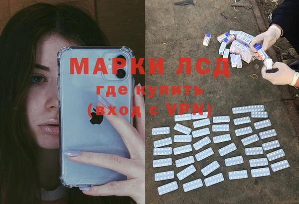 шишки Гусиноозёрск