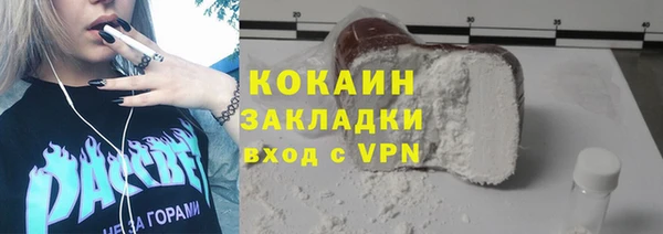 ПСИЛОЦИБИНОВЫЕ ГРИБЫ Гусев