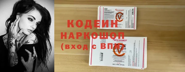 ПСИЛОЦИБИНОВЫЕ ГРИБЫ Гусев