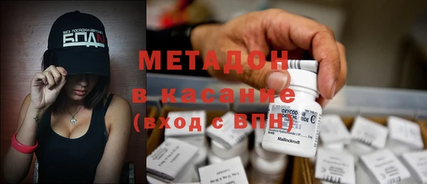 шишки Гусиноозёрск