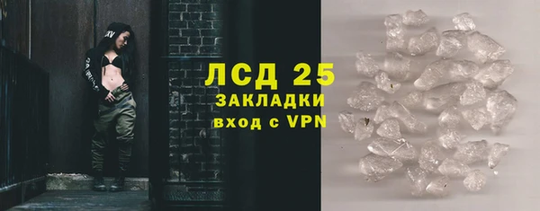 шишки Гусиноозёрск