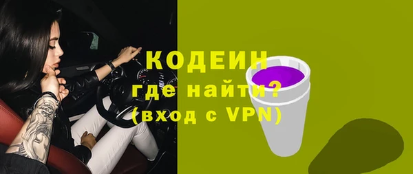 ПСИЛОЦИБИНОВЫЕ ГРИБЫ Гусев