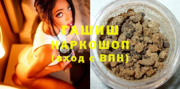 шишки Гусиноозёрск