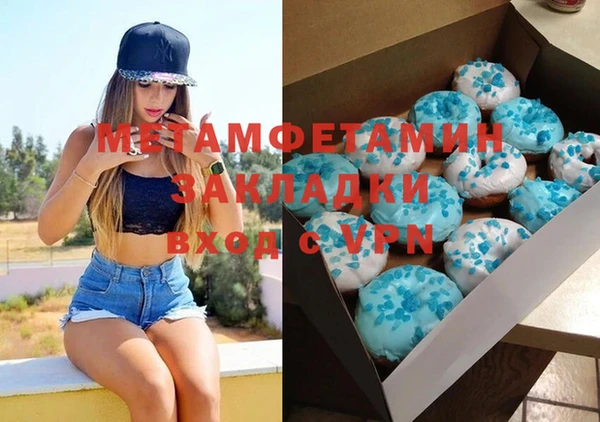 шишки Гусиноозёрск