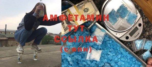 шишки Гусиноозёрск