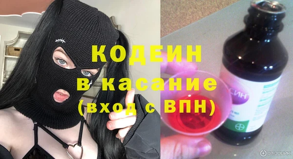 шишки Гусиноозёрск