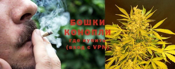 ПСИЛОЦИБИНОВЫЕ ГРИБЫ Гусев