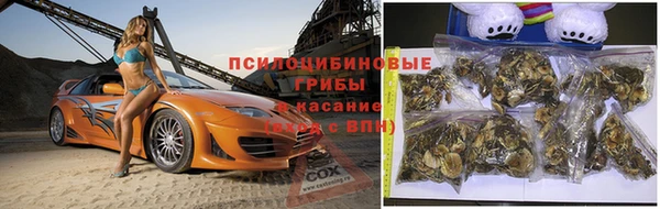 шишки Гусиноозёрск