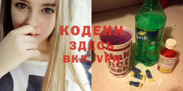 шишки Гусиноозёрск