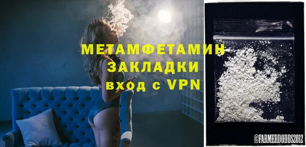 ПСИЛОЦИБИНОВЫЕ ГРИБЫ Гусев