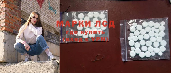 шишки Гусиноозёрск