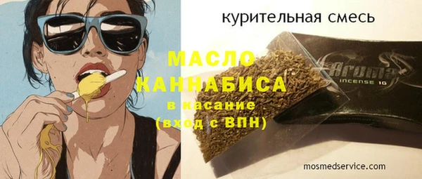 шишки Гусиноозёрск